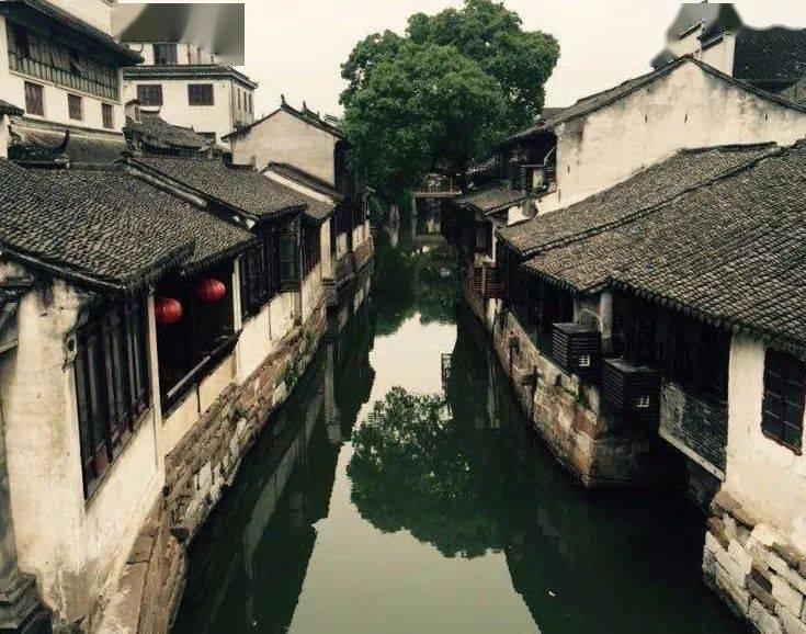 带壳生蚝怎么清洗?-机智问答,精彩互动、智慧解答